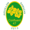 CONFLUENT FOOT 47